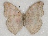  ( - ABRI_012)  @11 [ ] Unspecified (default): All Rights Reserved  Unspecified Unspecified