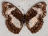  ( - ABRI_013)  @11 [ ] Unspecified (default): All Rights Reserved  Unspecified Unspecified
