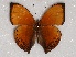  ( - ABRI_020)  @11 [ ] Unspecified (default): All Rights Reserved  Unspecified Unspecified