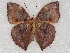  ( - ABRI_020)  @11 [ ] Unspecified (default): All Rights Reserved  Unspecified Unspecified