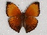  ( - ABRI_021)  @11 [ ] Unspecified (default): All Rights Reserved  Unspecified Unspecified