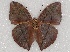  ( - ABRI_021)  @11 [ ] Unspecified (default): All Rights Reserved  Unspecified Unspecified