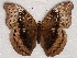  ( - ABRI_027)  @11 [ ] Unspecified (default): All Rights Reserved  Unspecified Unspecified