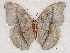  ( - ABRI_027)  @11 [ ] Unspecified (default): All Rights Reserved  Unspecified Unspecified