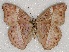  ( - ABRI_064)  @14 [ ] Unspecified (default): All Rights Reserved  Unspecified Unspecified