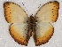  ( - ABRI_072)  @14 [ ] Unspecified (default): All Rights Reserved  Unspecified Unspecified