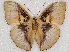  ( - ABRI_072)  @13 [ ] Unspecified (default): All Rights Reserved  Unspecified Unspecified
