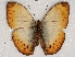  ( - ABRI_073)  @11 [ ] Unspecified (default): All Rights Reserved  Unspecified Unspecified