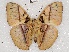  ( - ABRI_073)  @11 [ ] Unspecified (default): All Rights Reserved  Unspecified Unspecified