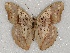  ( - ABRI_085)  @11 [ ] Unspecified (default): All Rights Reserved  Unspecified Unspecified