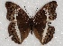  ( - ABRI_093)  @11 [ ] Unspecified (default): All Rights Reserved  Unspecified Unspecified