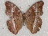  ( - ABRI_093)  @11 [ ] Unspecified (default): All Rights Reserved  Unspecified Unspecified