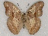  ( - ABRI_094)  @11 [ ] Unspecified (default): All Rights Reserved  Unspecified Unspecified