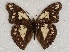  ( - ABRI_096)  @11 [ ] Unspecified (default): All Rights Reserved  Unspecified Unspecified