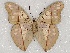  ( - ABRI_096)  @11 [ ] Unspecified (default): All Rights Reserved  Unspecified Unspecified