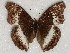  ( - ABRI_097)  @13 [ ] Unspecified (default): All Rights Reserved  Unspecified Unspecified