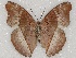  ( - ABRI_097)  @12 [ ] Unspecified (default): All Rights Reserved  Unspecified Unspecified