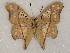  ( - ABRI_098)  @12 [ ] Unspecified (default): All Rights Reserved  Unspecified Unspecified