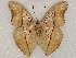  ( - ABRI_099)  @11 [ ] Unspecified (default): All Rights Reserved  Unspecified Unspecified