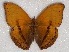  ( - ABRI_128.0)  @11 [ ] Unspecified (default): All Rights Reserved  Unspecified Unspecified