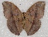  ( - ABRI_128.0)  @11 [ ] Unspecified (default): All Rights Reserved  Unspecified Unspecified