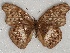  ( - ABRI_129.0)  @11 [ ] Unspecified (default): All Rights Reserved  Unspecified Unspecified