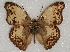  ( - ABRI_130.0)  @11 [ ] Unspecified (default): All Rights Reserved  Unspecified Unspecified