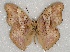  ( - ABRI_130.0)  @11 [ ] Unspecified (default): All Rights Reserved  Unspecified Unspecified