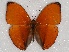  ( - ABRI_135)  @11 [ ] Unspecified (default): All Rights Reserved  Unspecified Unspecified