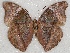 ( - ABRI_136)  @11 [ ] Unspecified (default): All Rights Reserved  Unspecified Unspecified