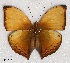  ( - RV_C015)  @13 [ ] Unspecified (default): All Rights Reserved  Unspecified Unspecified