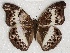  ( - ABRI_146)  @14 [ ] Unspecified (default): All Rights Reserved  Unspecified Unspecified