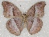  ( - ABRI_146)  @14 [ ] Unspecified (default): All Rights Reserved  Unspecified Unspecified