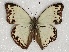 ( - ABRI_147)  @14 [ ] Unspecified (default): All Rights Reserved  Unspecified Unspecified