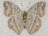  ( - ABRI_147)  @14 [ ] Unspecified (default): All Rights Reserved  Unspecified Unspecified