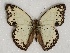  ( - ABRI_148)  @14 [ ] Unspecified (default): All Rights Reserved  Unspecified Unspecified