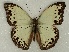  ( - ABRI_155)  @14 [ ] Unspecified (default): All Rights Reserved  Unspecified Unspecified