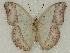  ( - ABRI_155)  @14 [ ] Unspecified (default): All Rights Reserved  Unspecified Unspecified