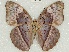  ( - ABRI_186)  @11 [ ] Unspecified (default): All Rights Reserved  Unspecified Unspecified