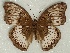  ( - ABRI_197)  @11 [ ] Unspecified (default): All Rights Reserved  Unspecified Unspecified