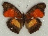  ( - ABRI_209)  @11 [ ] Unspecified (default): All Rights Reserved  Unspecified Unspecified
