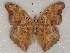  ( - ABRI_315)  @11 [ ] Unspecified (default): All Rights Reserved  Unspecified Unspecified