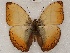  ( - ABRI_319)  @11 [ ] Unspecified (default): All Rights Reserved  Unspecified Unspecified