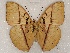  ( - ABRI_319)  @11 [ ] Unspecified (default): All Rights Reserved  Unspecified Unspecified