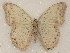  ( - ABRI_323)  @14 [ ] Unspecified (default): All Rights Reserved  Unspecified Unspecified