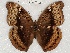  ( - ABRI_329.0)  @11 [ ] Unspecified (default): All Rights Reserved  Unspecified Unspecified