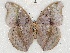 ( - ABRI_329.0)  @11 [ ] Unspecified (default): All Rights Reserved  Unspecified Unspecified