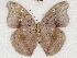  ( - ABRI_330)  @13 [ ] Unspecified (default): All Rights Reserved  Unspecified Unspecified
