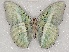  ( - ABRI_339)  @11 [ ] Unspecified (default): All Rights Reserved  Unspecified Unspecified