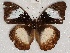  ( - ABRI_341)  @11 [ ] Unspecified (default): All Rights Reserved  Unspecified Unspecified